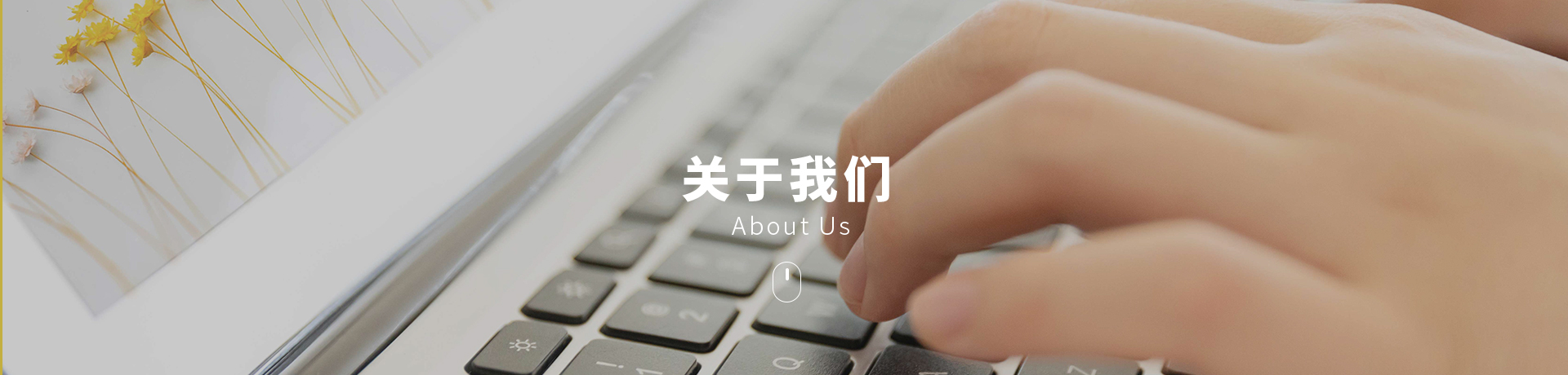 關(guān)于上海喬楓